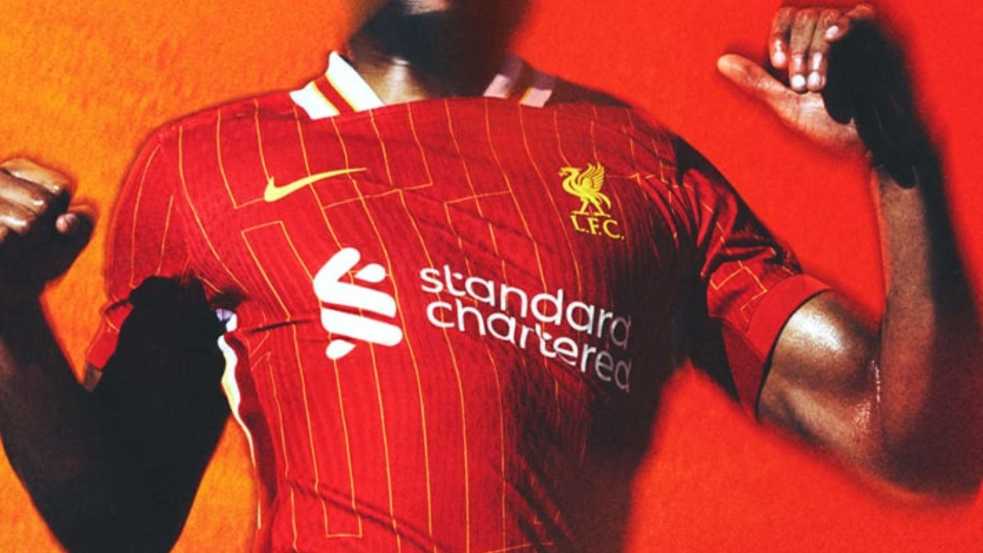 續鞏固了他 續鞏固了他