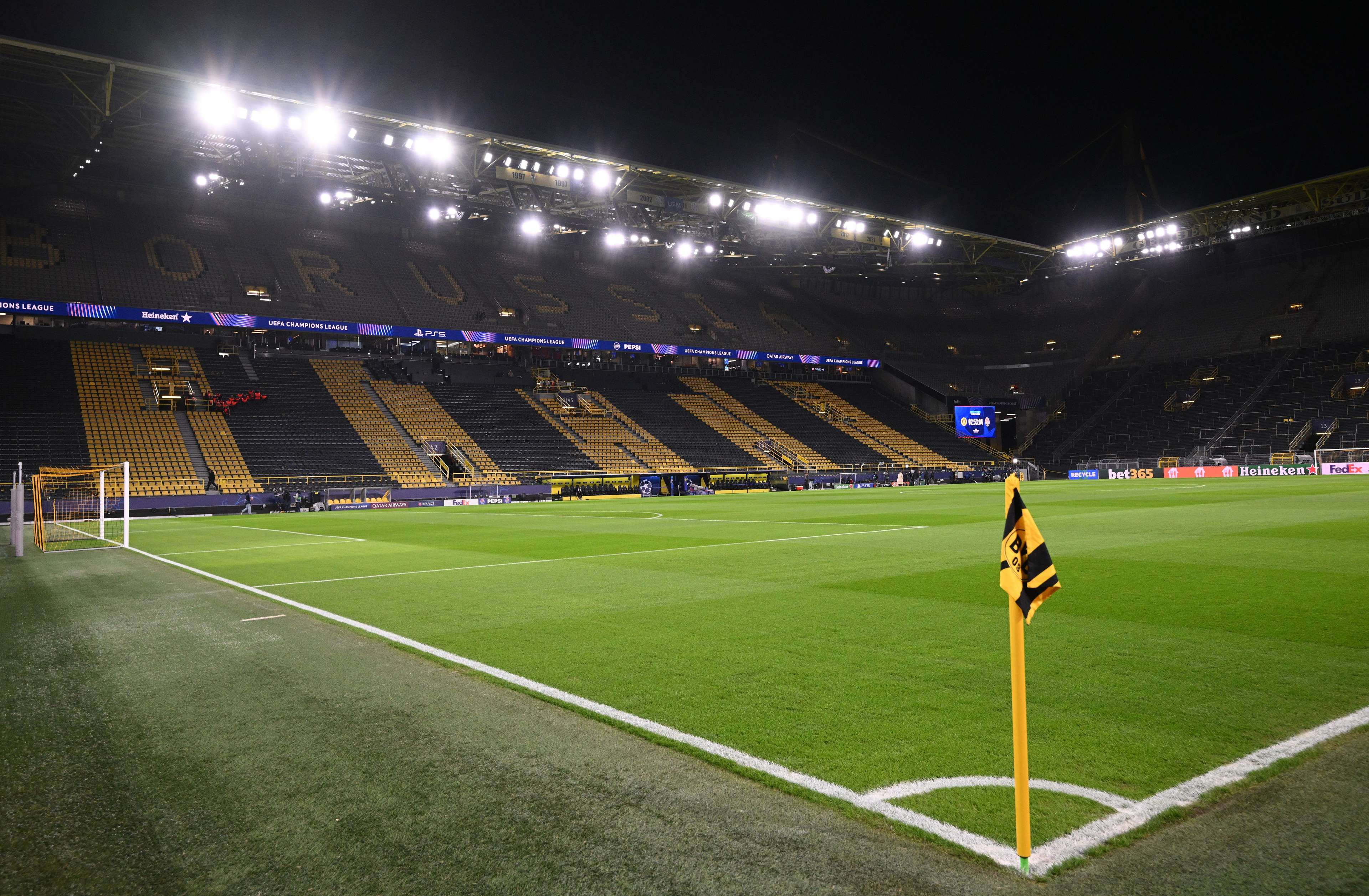 以及对未来 以及对未来